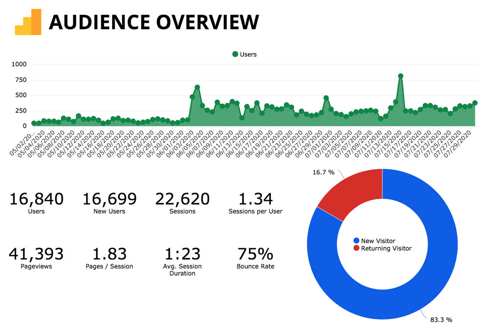 Beyond Spots & Dots Dashboard Analytics