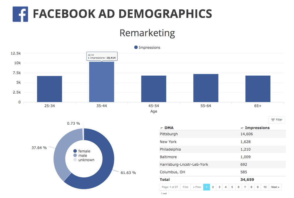 Beyond Spots & Dots Dashboard Demographics